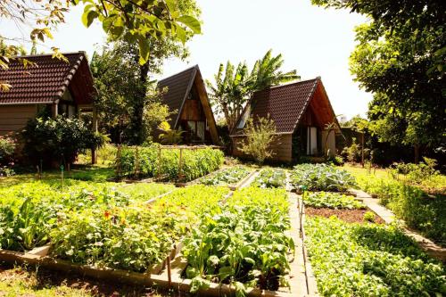 Buon’S garden in Buon Ma Thuot, Vietnam