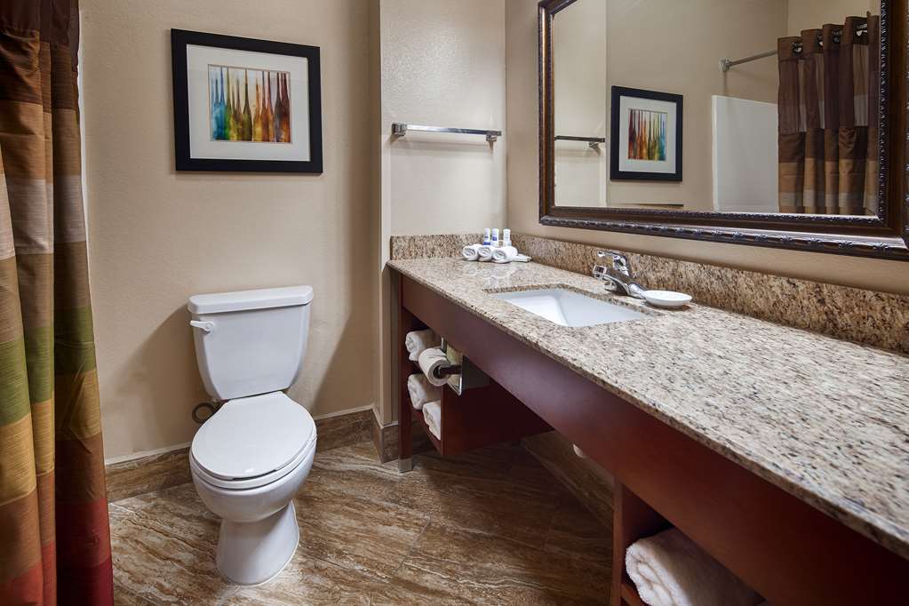 Best Western Plus Monahans Inn & Suites - photo 11