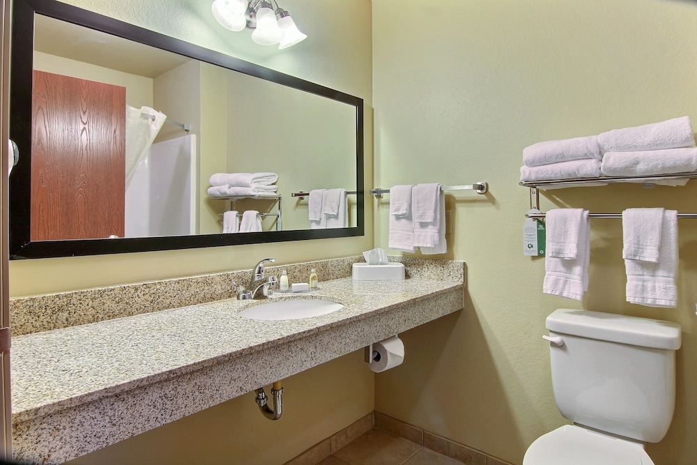 Cobblestone Inn and Suites Winterset - photo 41