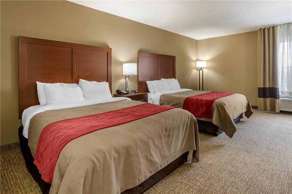 Comfort Inn Walcott near Davenport - photo 25