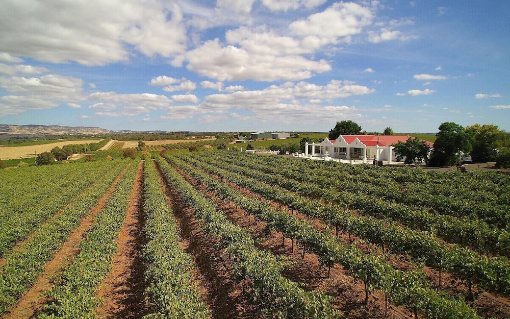 1837 Barossa Luxury Vineyard Cottages — Lyndoch