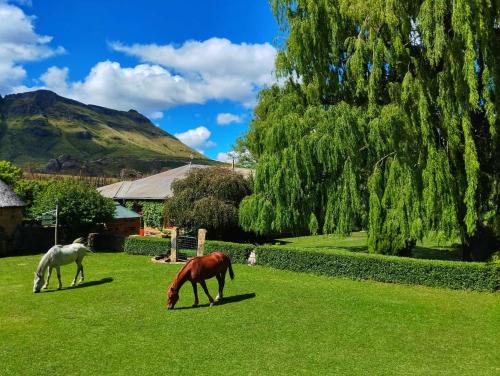 Glengyle Guest Farm pet-friendly hotel Barkly East