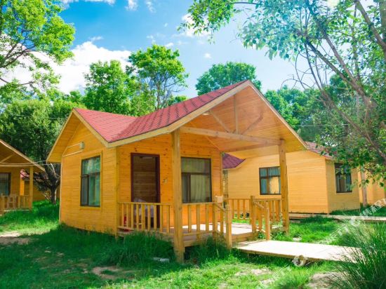 Camel Garden of Star Dream in Wulan, People's Republic of China