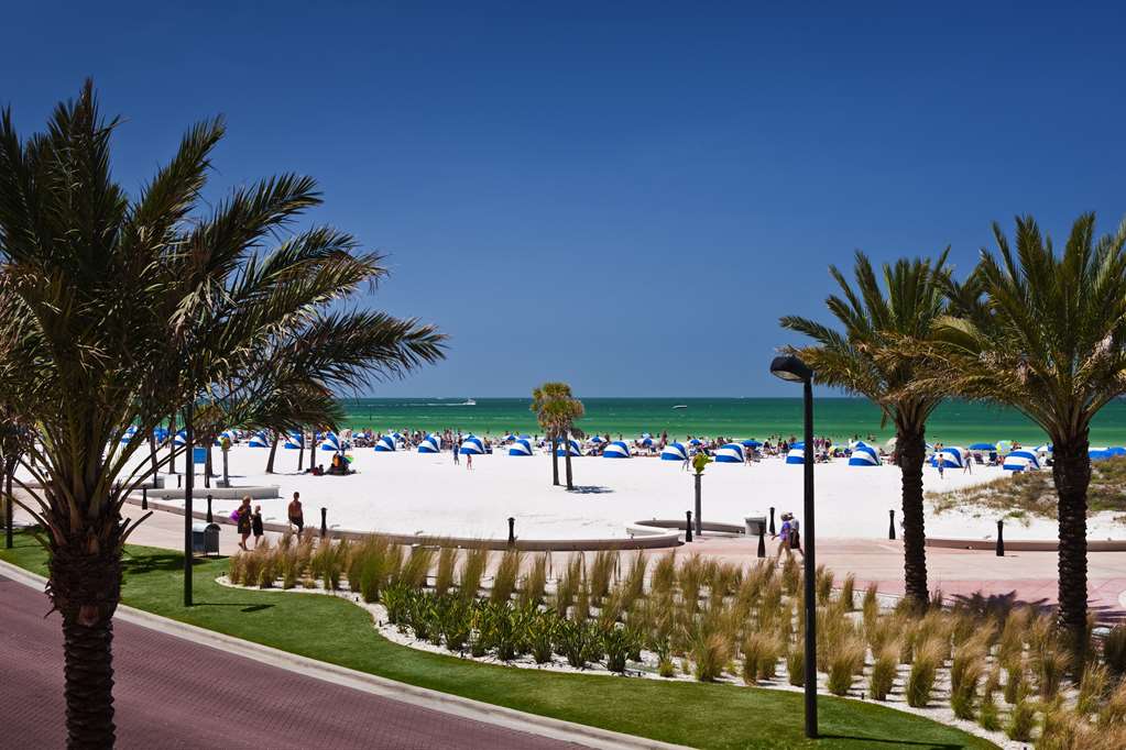 Hyatt Regency Clearwater Beach Resort and Suites - photo 23