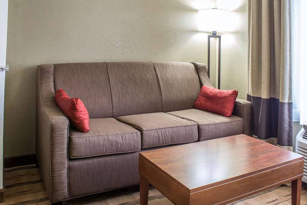 Comfort Inn & Suites Cedar Rapids North Collins Road - photo 23