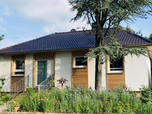 Ferienhaus Urwald — hotel in Hofgeismar