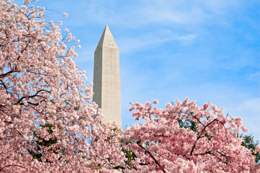 Hyatt Place Washington DC White House - photo 18