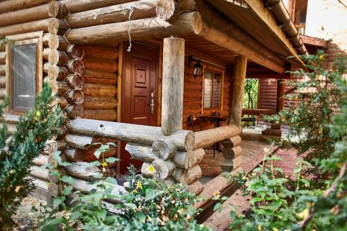 Zolotoy Bereg Hotel — hotel in Chernihiv