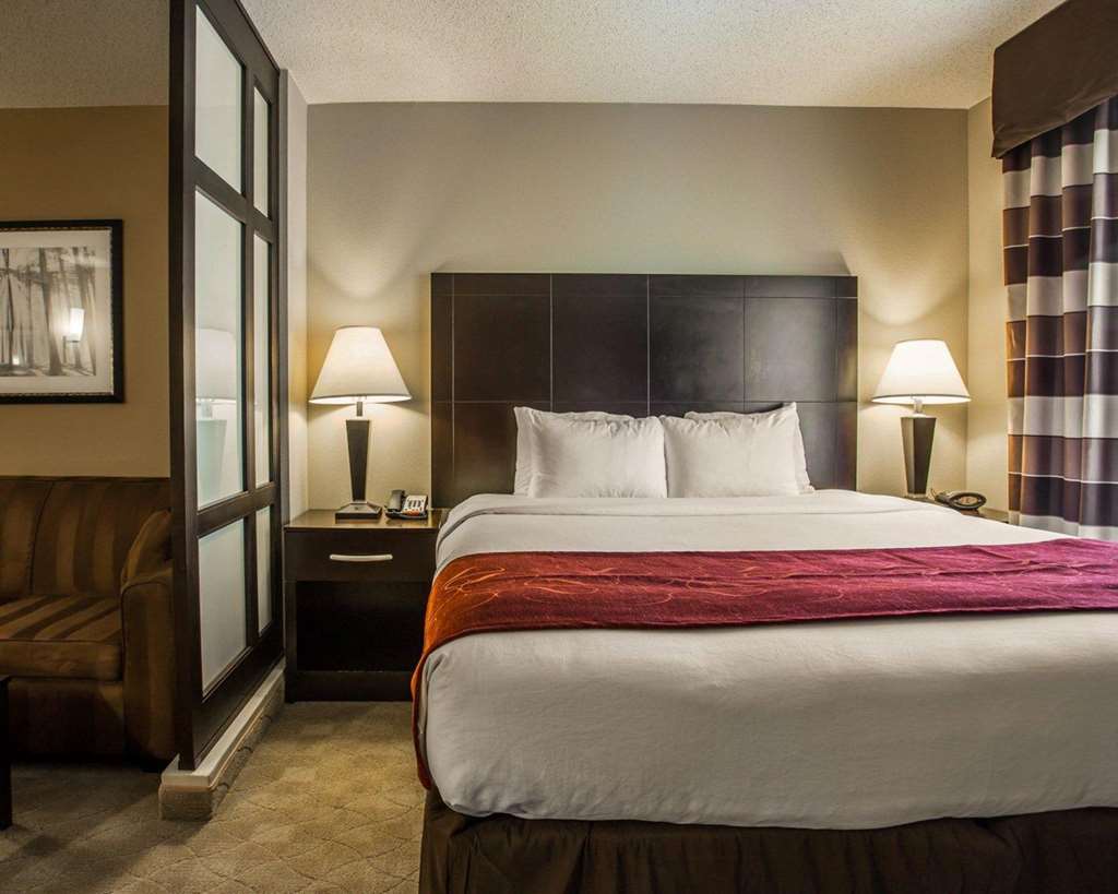 Comfort Suites Huntersville near Lake Norman - photo 13