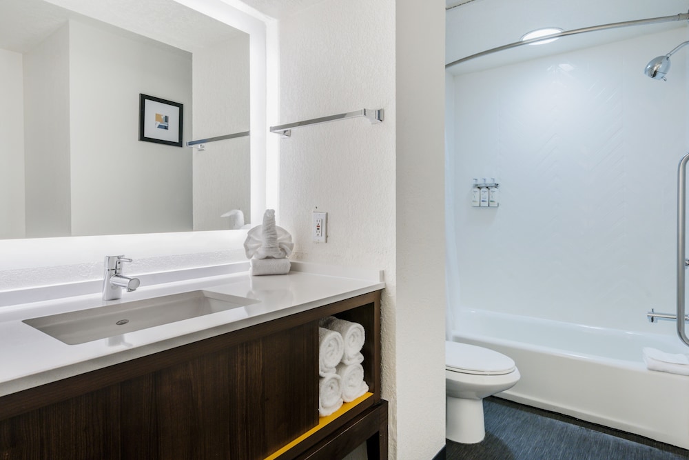 Holiday Inn Orlando International Dr ICON by IHG - photo 30