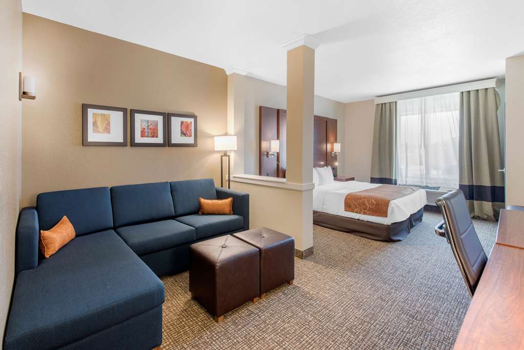 Comfort Suites Denver International Airport - photo 10