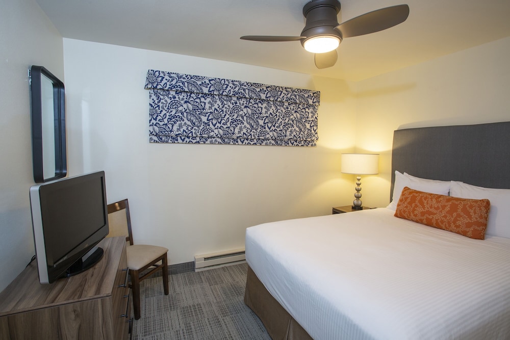 Lakeshore Inn - photo 3