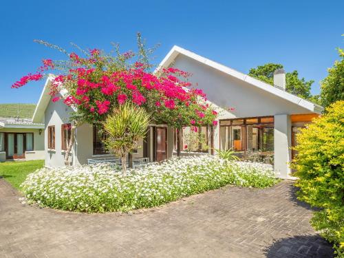 Scenic Escape in Knysna, South Africa