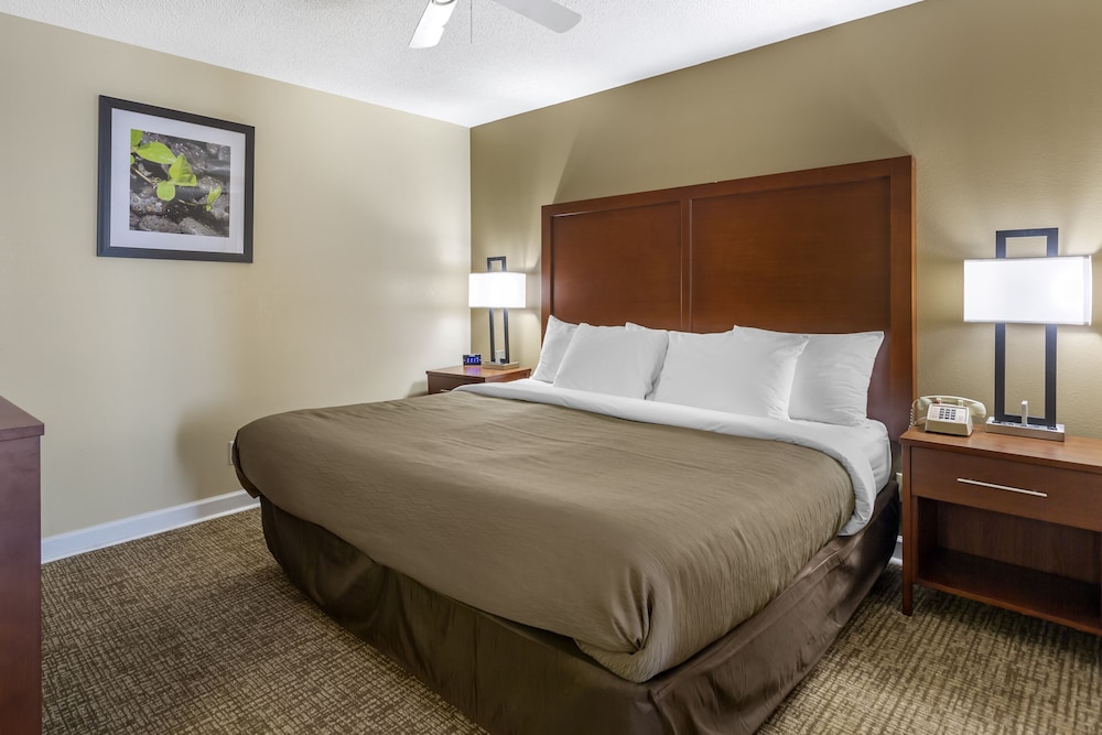 Richland Inn of Columbia - photo 4