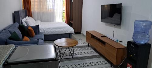 Affordable Studio Apartment Kasarani Seasons Road
