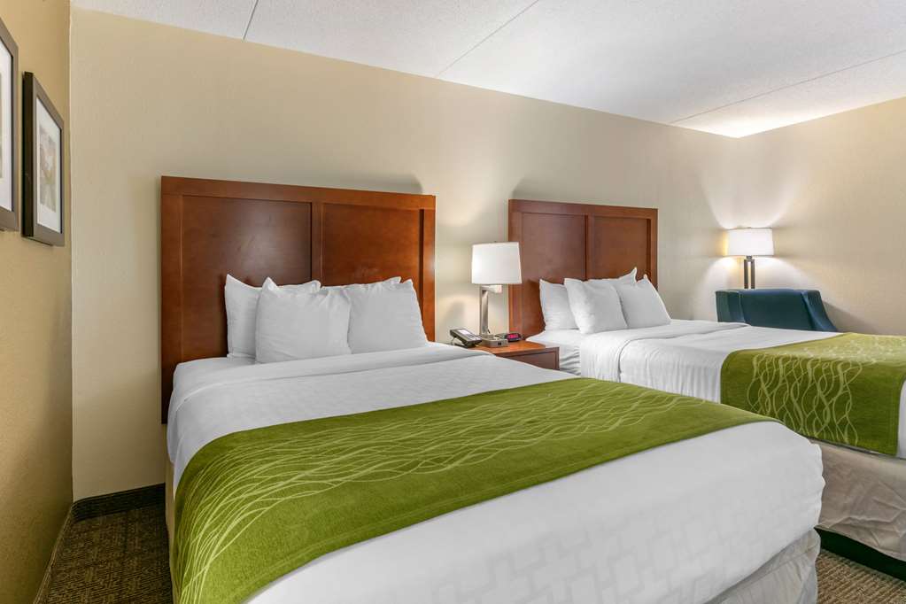 Comfort Inn Chattanooga Downtown Southside - photo 18