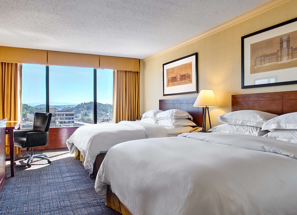 Hilton Knoxville - photo 7