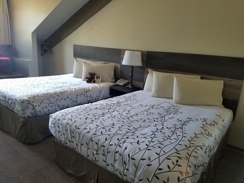 Roosevelt Inn Mount Rushmore - photo 22
