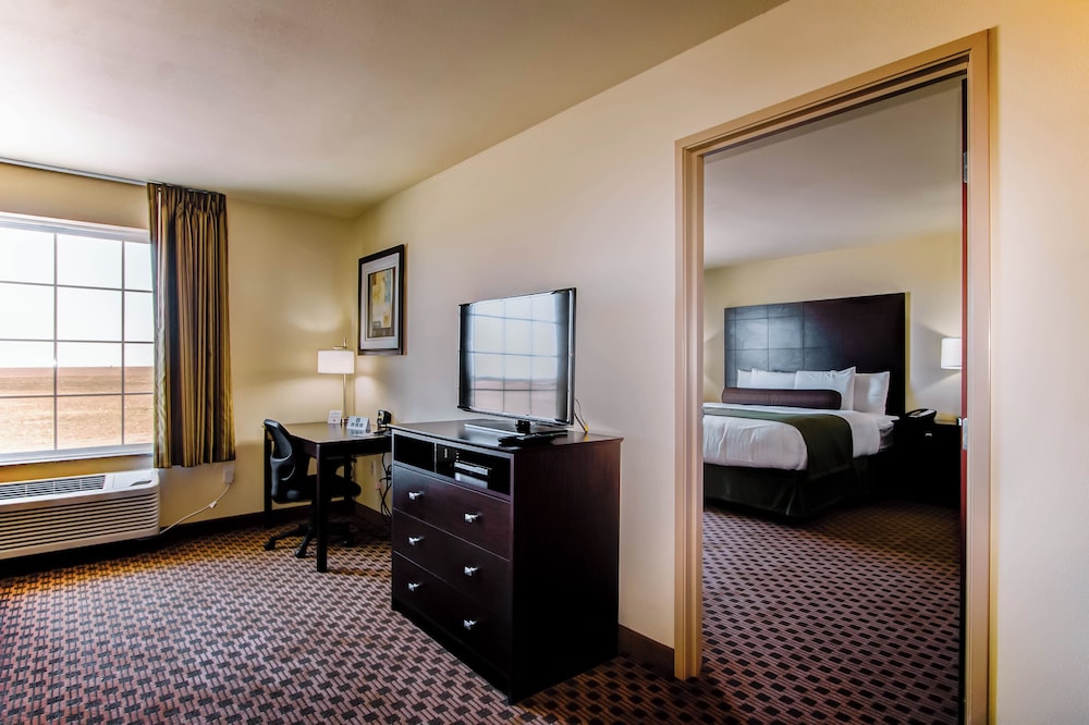 Cobblestone Inn & Suites Eads - photo 17