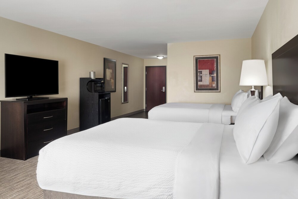 Holiday Inn Express &Suites Snyder by IHG - photo 10