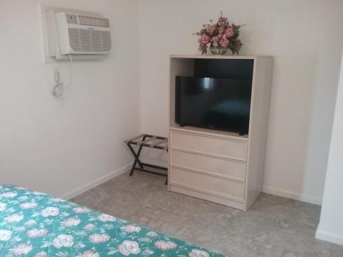 Apollo Resort Motel - photo 6