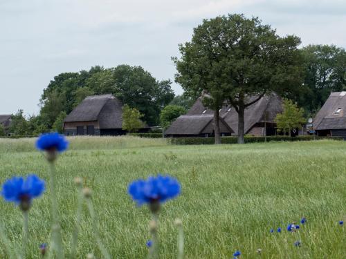 Gastenverblijf Lheederhof — 4-Star Luxury Hotel in Dwingeloo, Netherlands