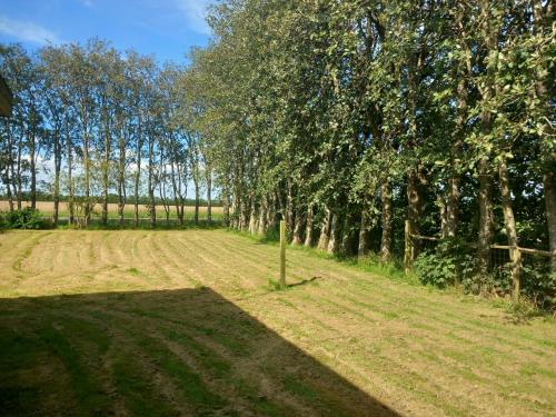 Lille Landsted Camping — Vojens — photo 4