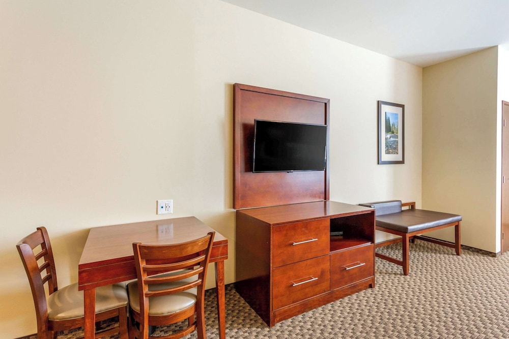 Comfort Suites Burlington near I 5 - photo 21