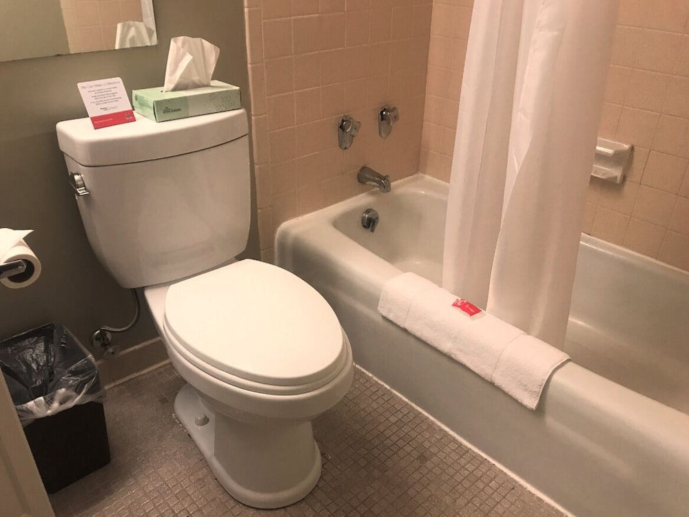 Econo Lodge Hurley Ironwood - photo 5