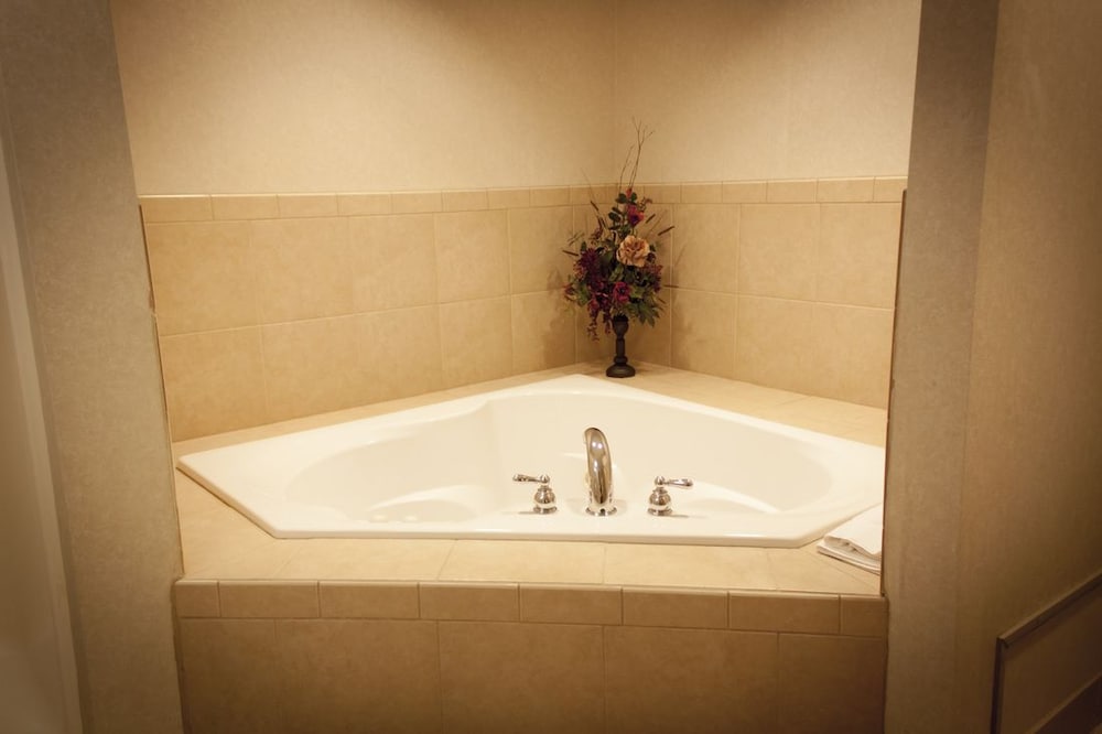 Ameriway Inn and Suites - photo 9