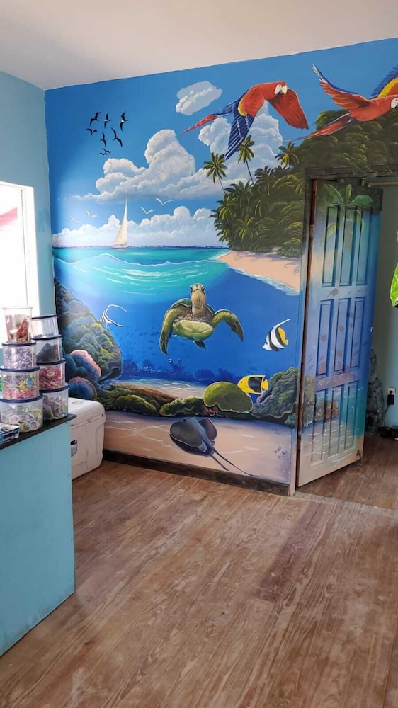Mr. Ed’s Adventures Belize — San Pedro — photo 2