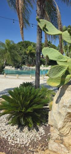 Holiday in Paradise — Balestrate — photo 4