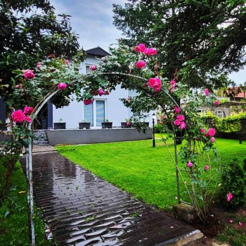 Silver Rose apartman in Veliko Gradiste, Serbia