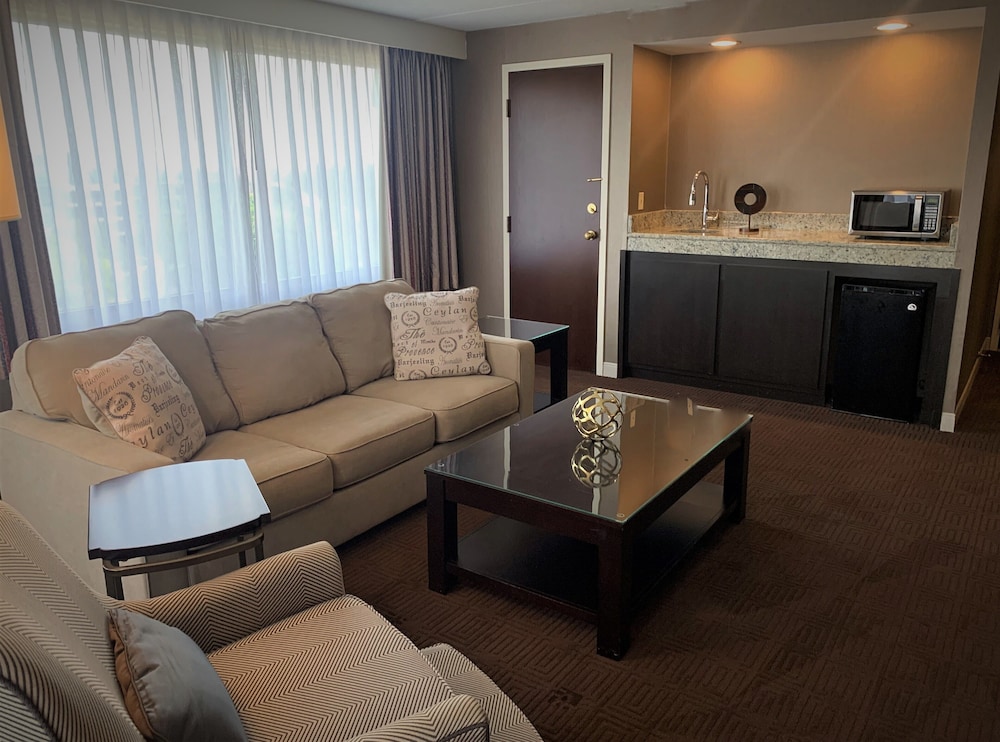 Sheraton Lisle Naperville Hotel - photo 11