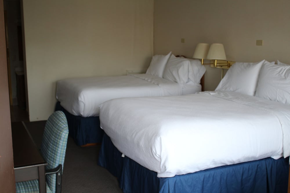 Grapevine Inn - photo 11