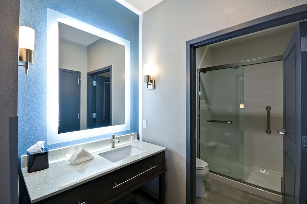 Homewood Suites by Hilton Conroe - photo 29