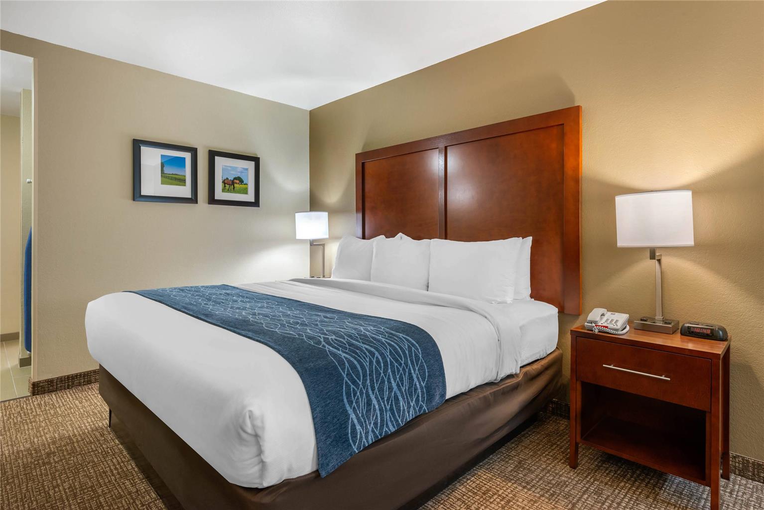 Comfort Inn Ocala Silver Springs - photo 20