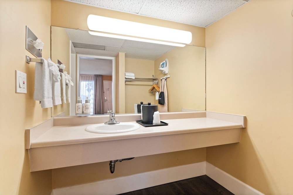 Vagabond Inn Executive San Francisco Airport - photo 30