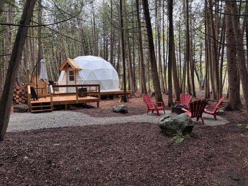 The Bonne Chere at New Frontiers Retreat - carbon neutral hotel in Unknown City