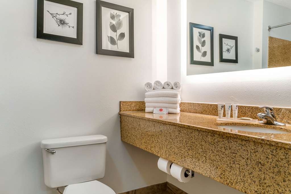 Country Inn & Suites by Radisson Rossford Toledo South - photo 30
