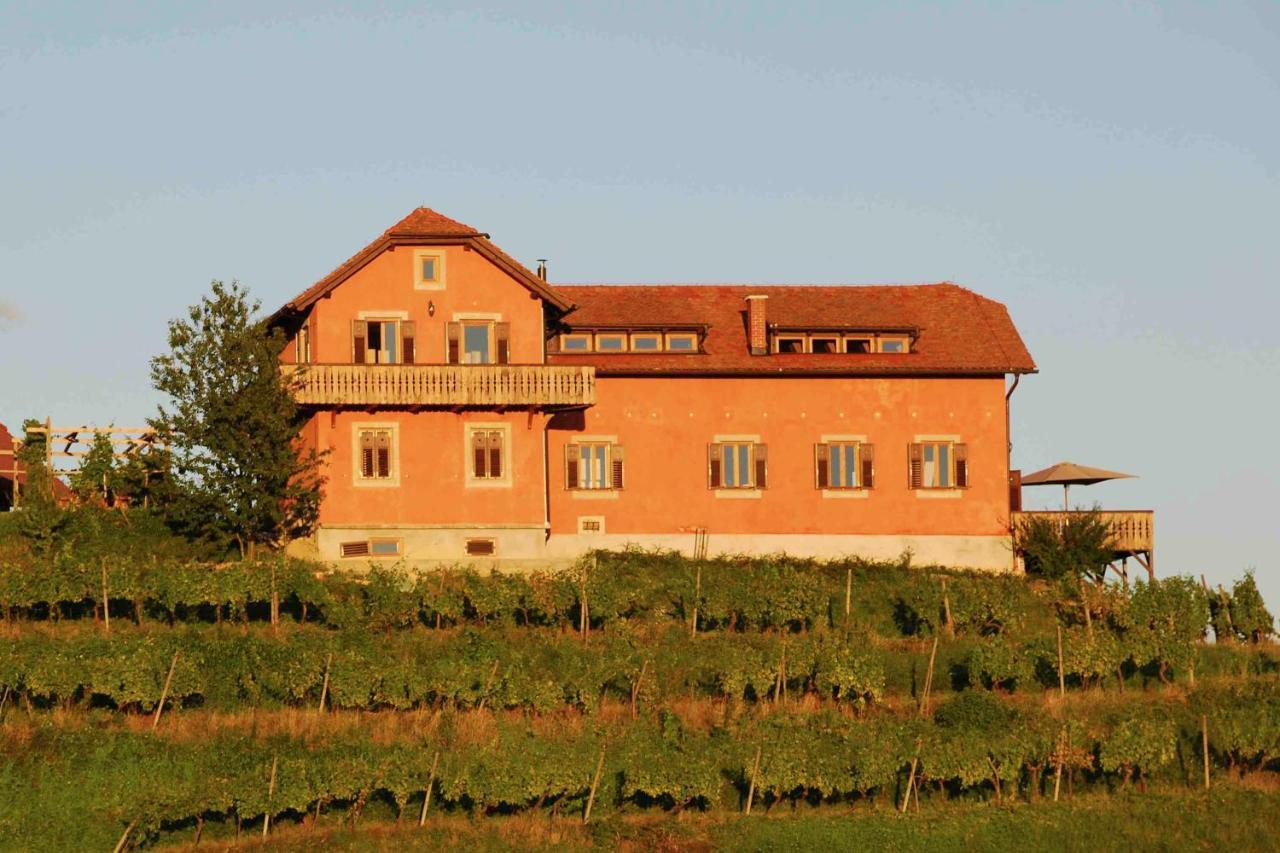 Hisa Vina in Podlehnik, Slovenia