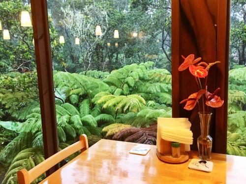 Volcano Inn - carbon neutral hotel in Volcano