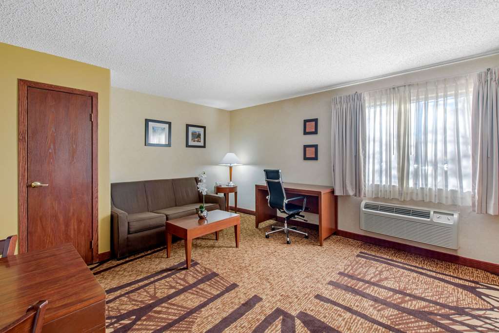 Comfort Inn Denver Southeast Area - photo 19