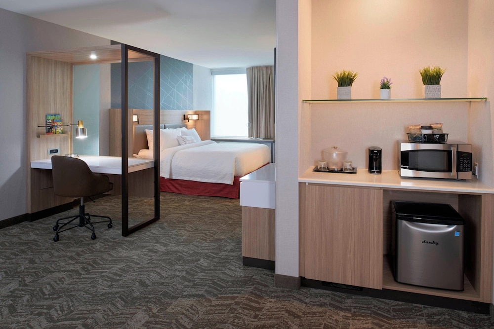 SpringHill Suites by Marriott East Lansing University Area - photo 8
