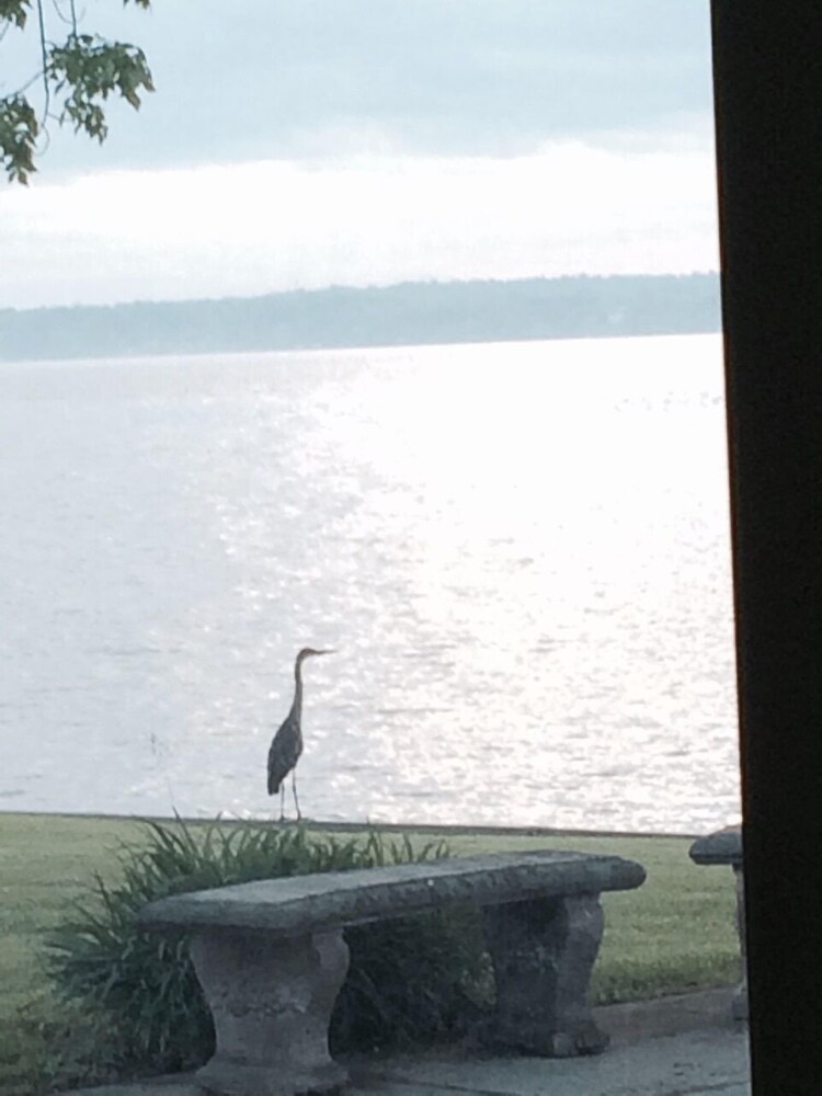 Waters Edge B&B Resort - photo 39