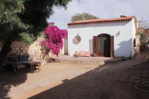 Noah's Ark - carbon neutral hotel in Dahab