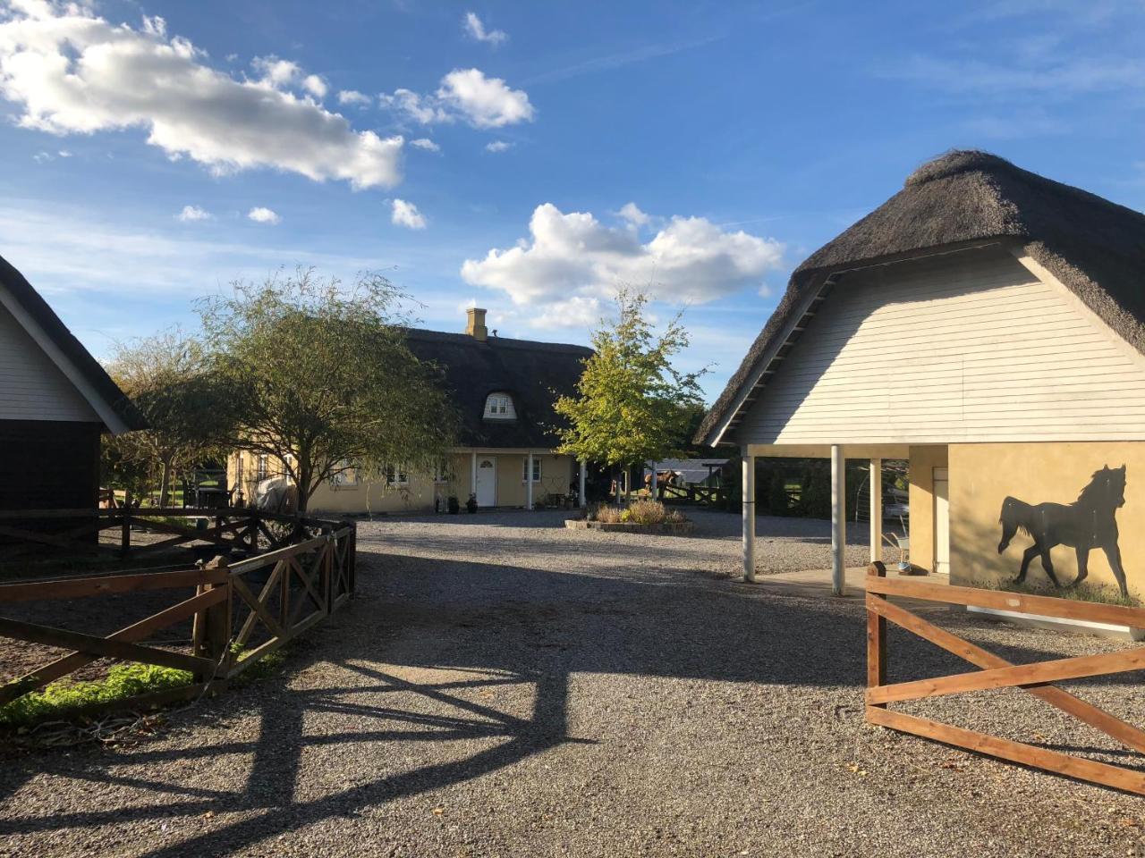 Anneks V Stevns Klint — Store Heddinge