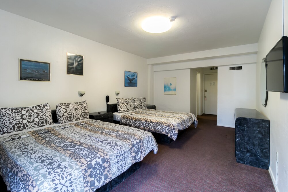 Tropics Hotel and Hostels - photo 15