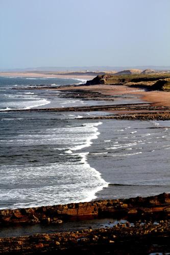 Pot a Doodle Do — Berwick-Upon-Tweed — photo 3