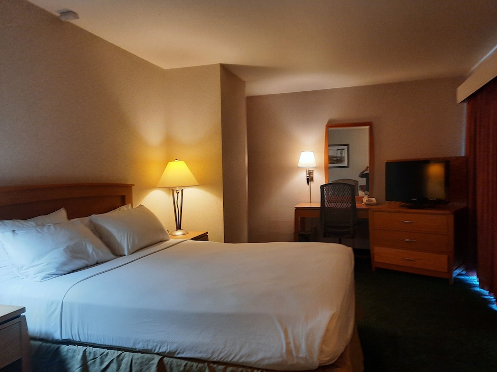 RiverTree Inn & Suites - photo 4